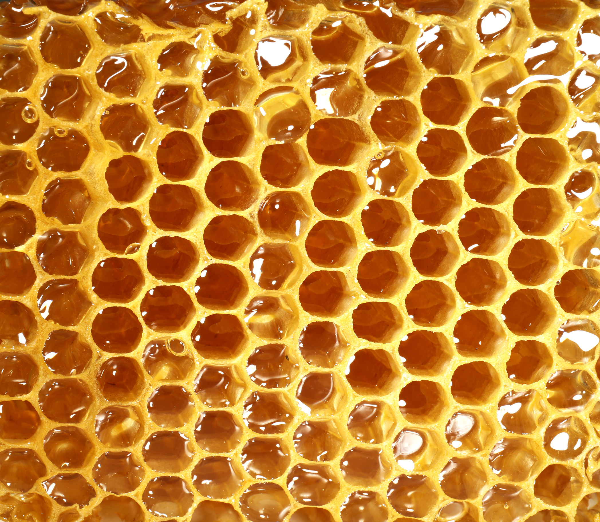 Closeup of Honeycomb